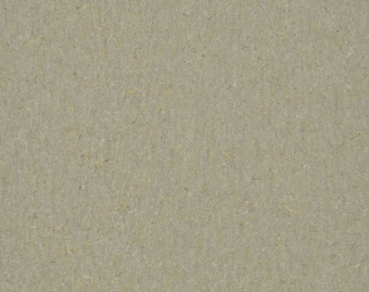 [100111114_3] Marmoleum Terra - 5801 river bank